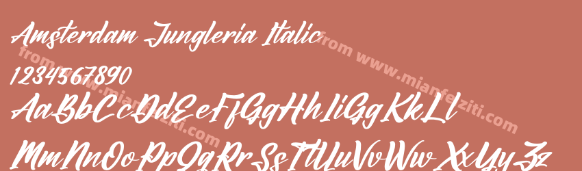 Amsterdam Jungleria Italic预览图1