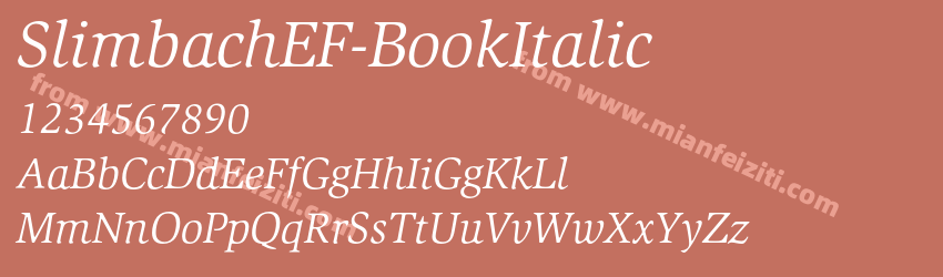 SlimbachEF Book Italic预览图1