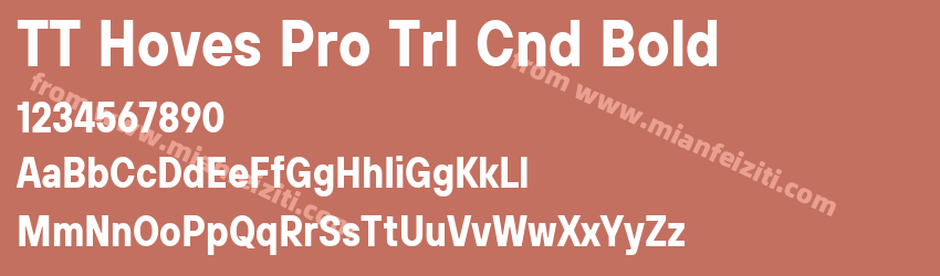 TT Hoves Pro Trl Cnd Bold预览图1