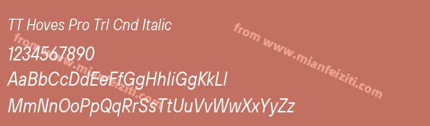 TT Hoves Pro Trl Cnd Italic预览图1