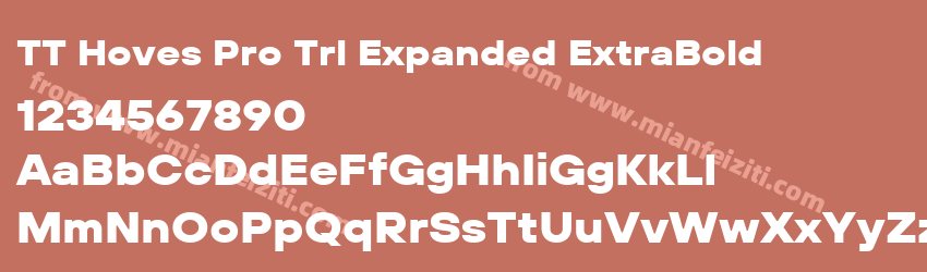 TT Hoves Pro Trl Expanded Extra Bold预览图1