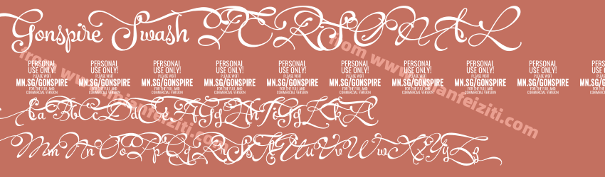 Gonspire Swash PERSONAL Regular预览图1