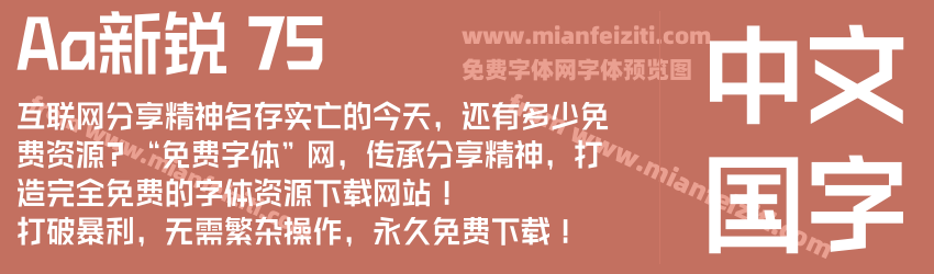 Aa新锐 75预览图1