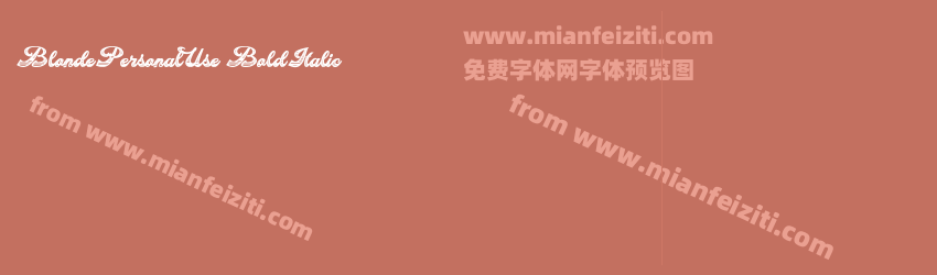 Blonde Personal Use Bold Italic预览图1