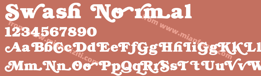 Swash Normal预览图1
