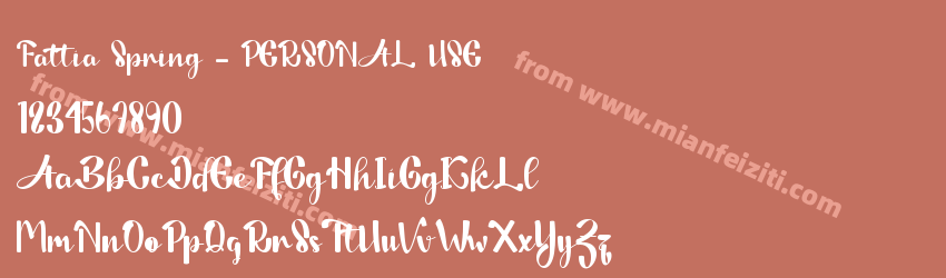 Fattia Spring PERSONAL USE预览图1
