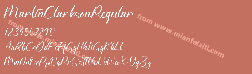 Martin Clarkson Regular预览图1