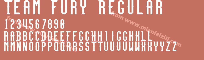 Team Fury Regular预览图1