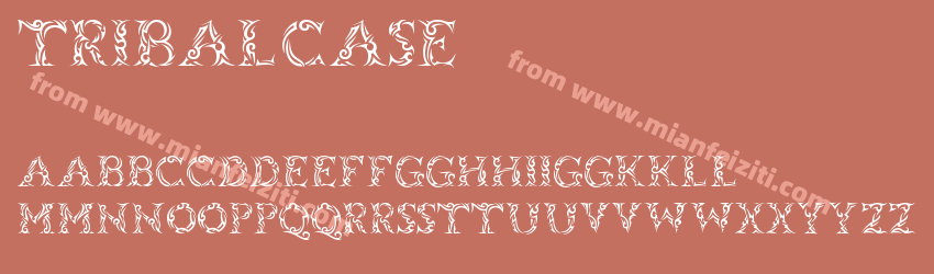 Tribalcase预览图1