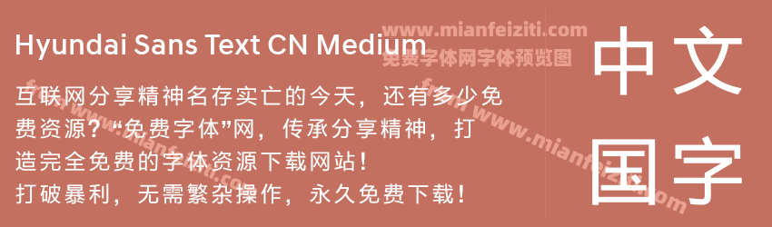 Hyundai Sans Text CN Medium字体预览