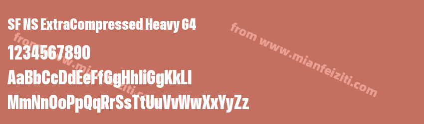 SF NS ExtraCompressed Heavy G4字体预览