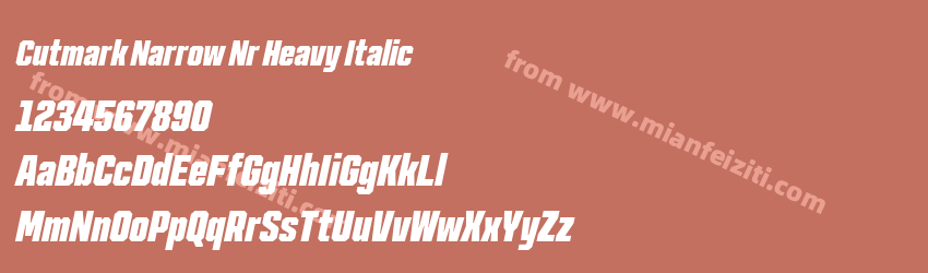 Cutmark Narrow Nr Heavy Italic预览图1