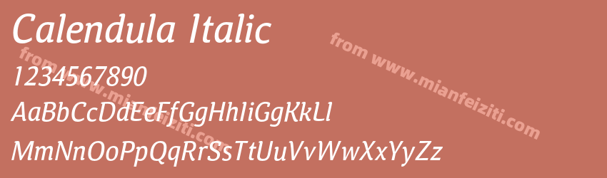 Calendula Italic字体预览
