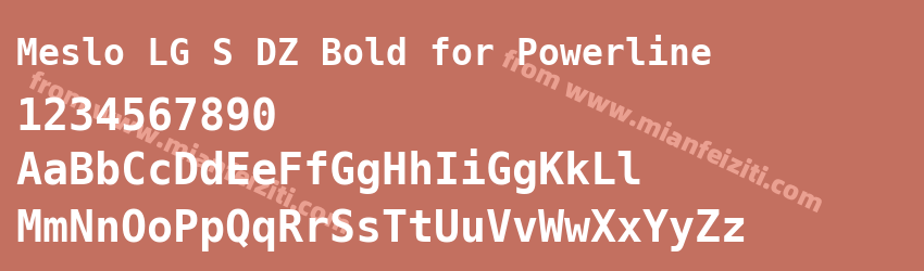 Meslo LG S DZ Bold for Powerline预览图1