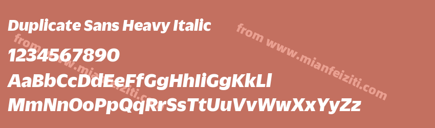 Duplicate Sans Heavy Italic预览图1