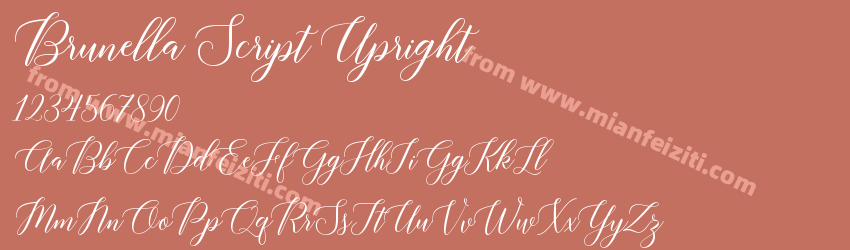 Brunella Script Upright字体预览
