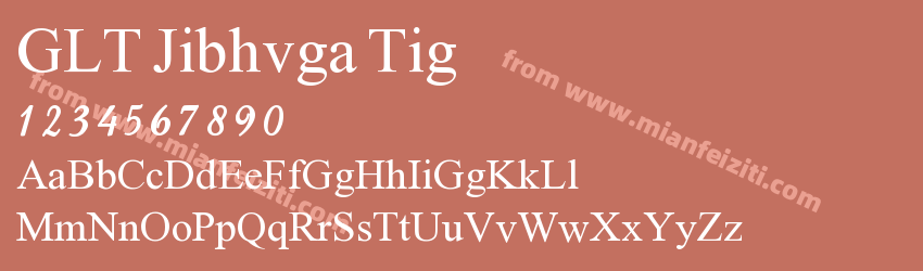 GLT Jibhvga Tig预览图1