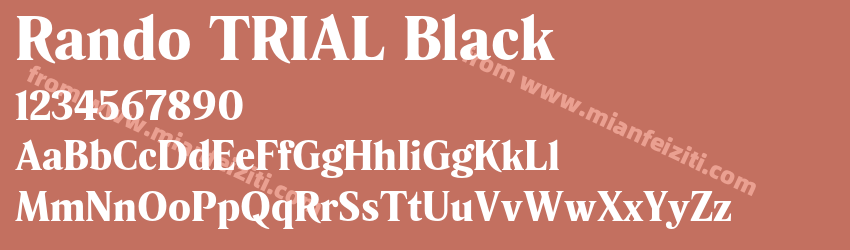 Rando TRIAL Black预览图1