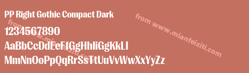 PP Right Gothic Compact Dark预览图1