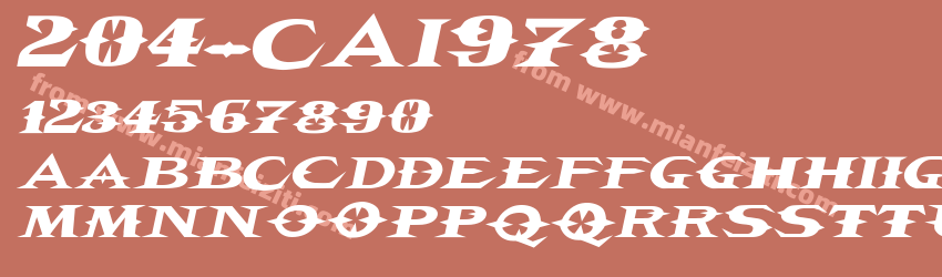 204 CAI978预览图1