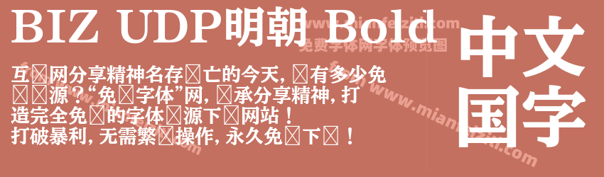BIZ UDP明朝 Bold字体预览