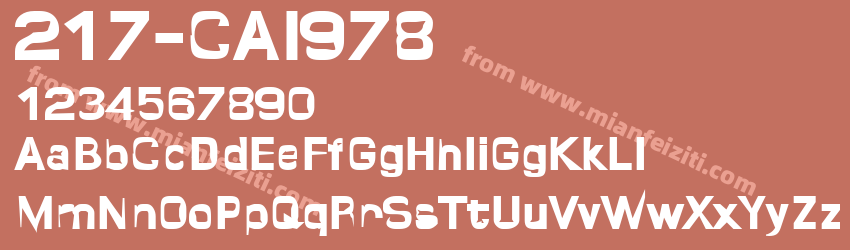 217 CAI978预览图1