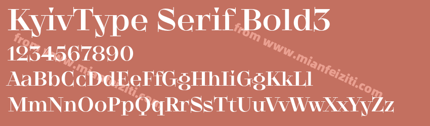 KyivType Serif Bold3字体预览