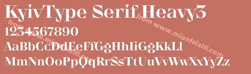 KyivType Serif Heavy3字体预览