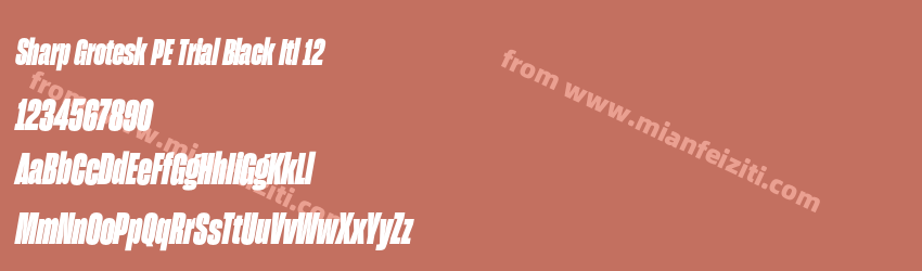 Sharp Grotesk PE Trial Black Itl 12预览图1
