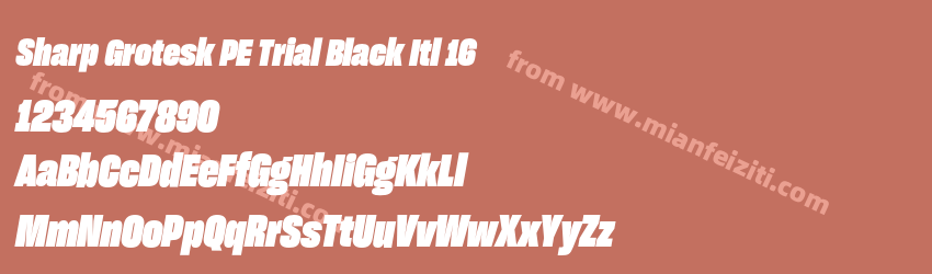 Sharp Grotesk PE Trial Black Itl 16预览图1