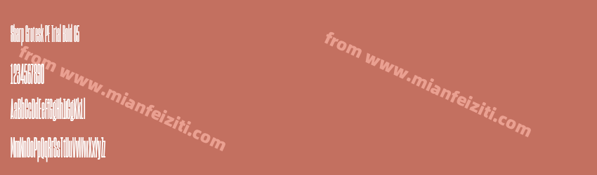 Sharp Grotesk PE Trial Bold 05预览图1