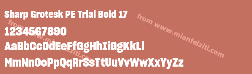 Sharp Grotesk PE Trial Bold 17预览图1