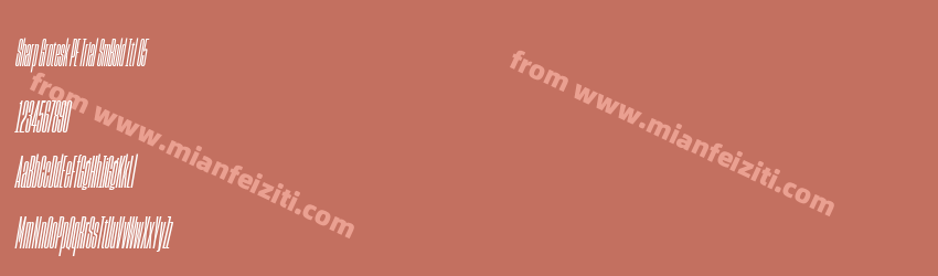 Sharp Grotesk PE Trial Sm Bold Itl 05预览图1