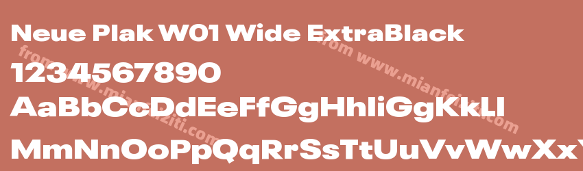 Neue Plak W01 Wide ExtraBlack字体预览