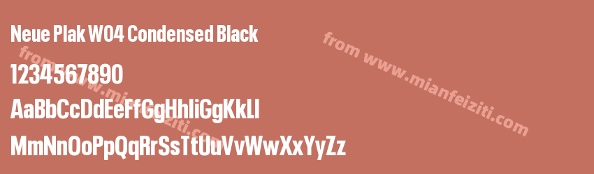 Neue Plak W04 Condensed Black字体预览