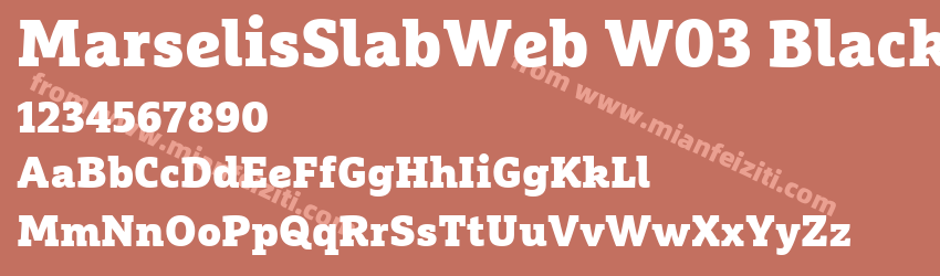 Marselis Slab Web W03 Black字体预览