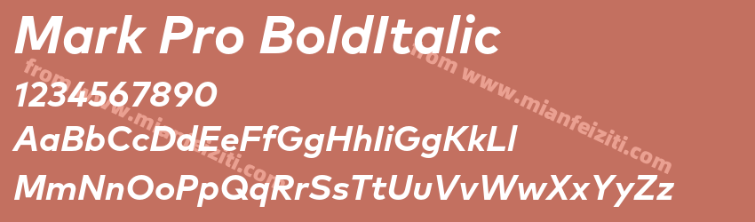 Mark Pro BoldItalic字体预览