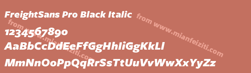 FreightSans Pro Black Italic字体预览