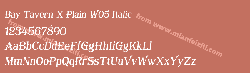 Bay Tavern X Plain W05 Italic字体预览