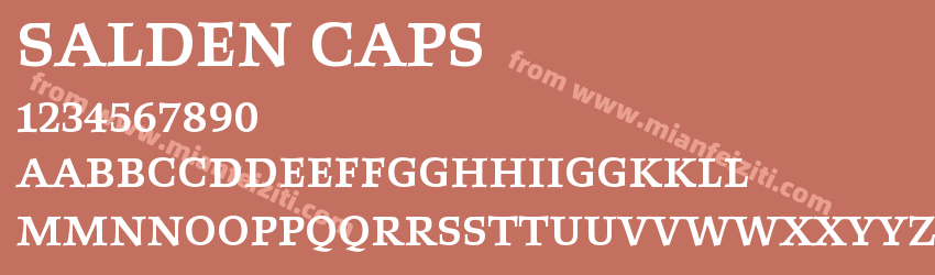 Salden Caps预览图1