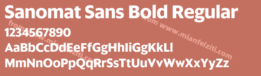 Sanomat Sans Bold Regular字体预览