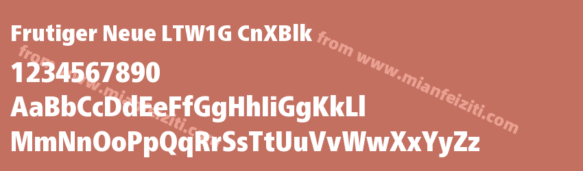 Frutiger Neue LTW1G CnXBlk字体预览