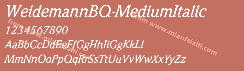 WeidemannBQ Medium Italic预览图1