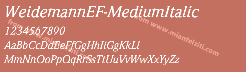 WeidemannEF Medium Italic预览图1