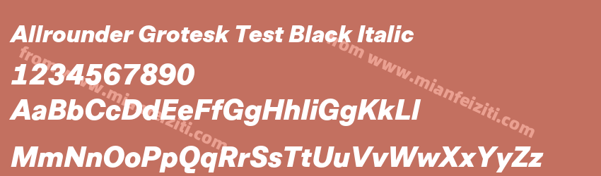 Allrounder Grotesk Test Black Italic字体预览