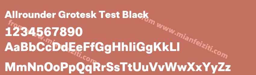 Allrounder Grotesk Test Black字体预览
