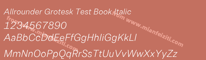 Allrounder Grotesk Test Book Italic字体预览