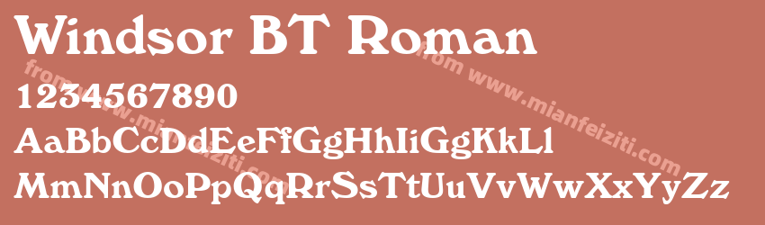 Windsor BT Roman预览图1