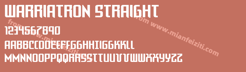 Warriatron Straight预览图1