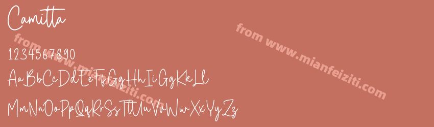 Camitta预览图1
